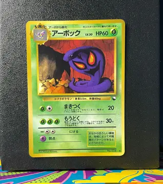 Arbok No.024