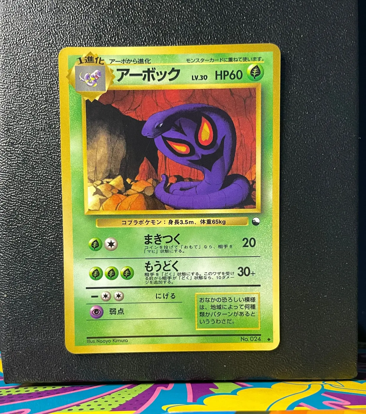 Arbok No.024 - Frente