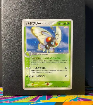 Butterfree 003/082