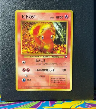 Charmander No.004