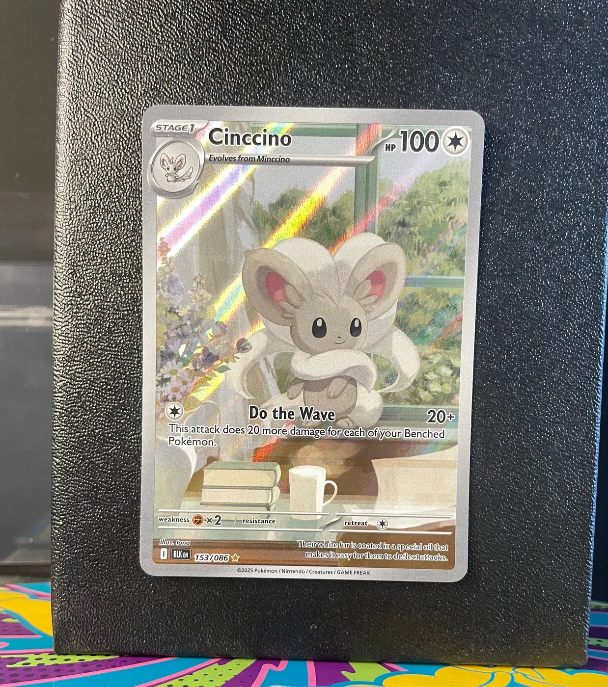 Cinccino 153/086 - Frente
