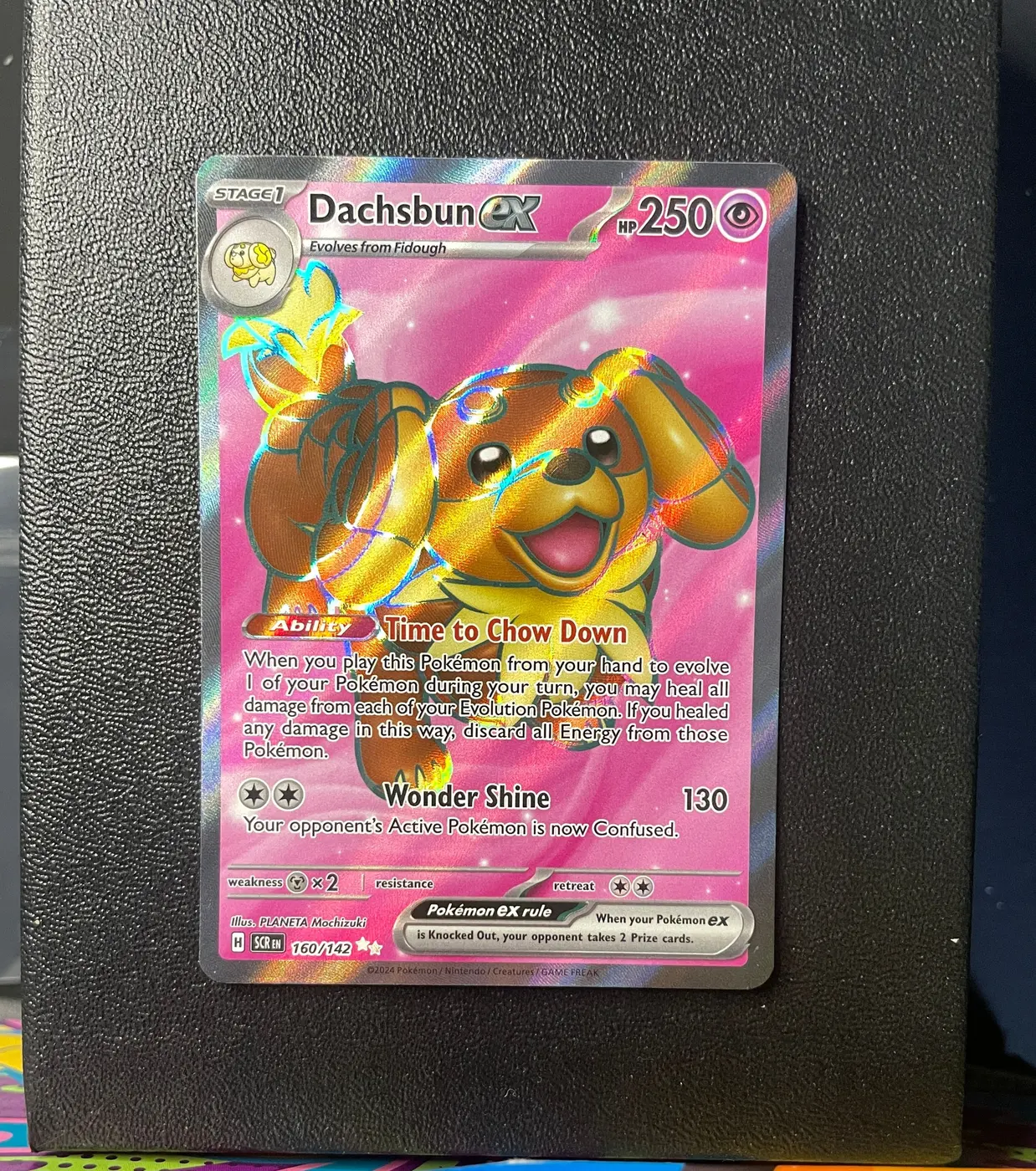 Dachsbun ex 160/142 - Frente
