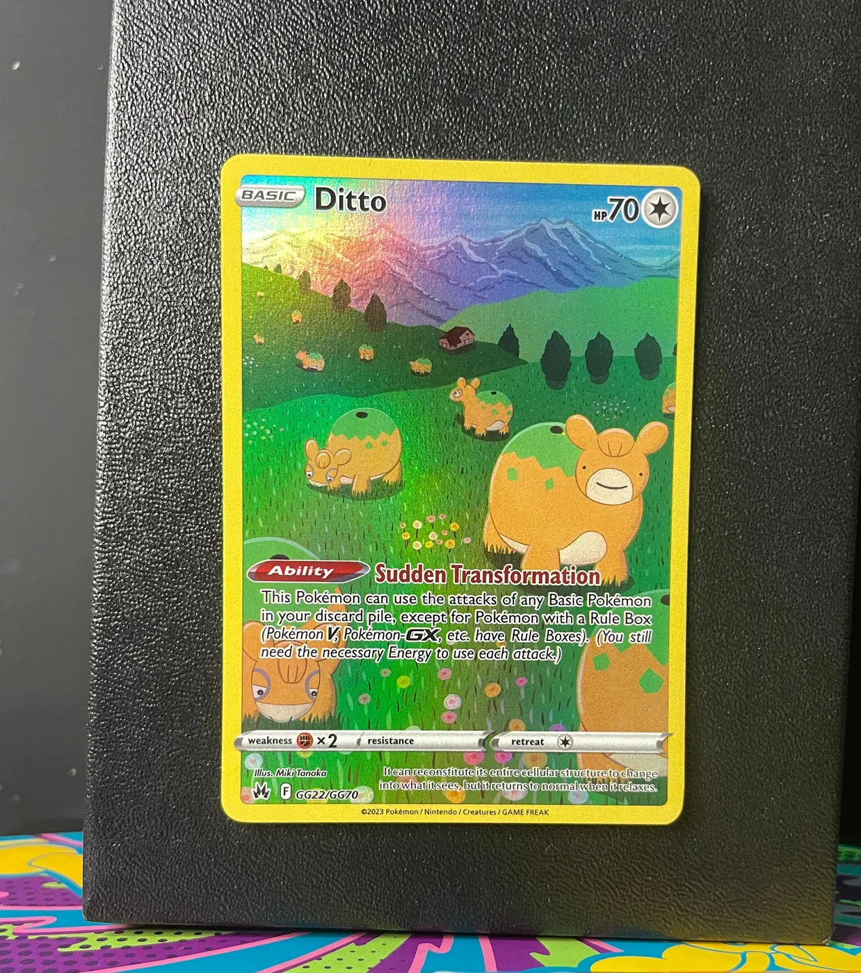 Ditto GG22/GG70 - Frente
