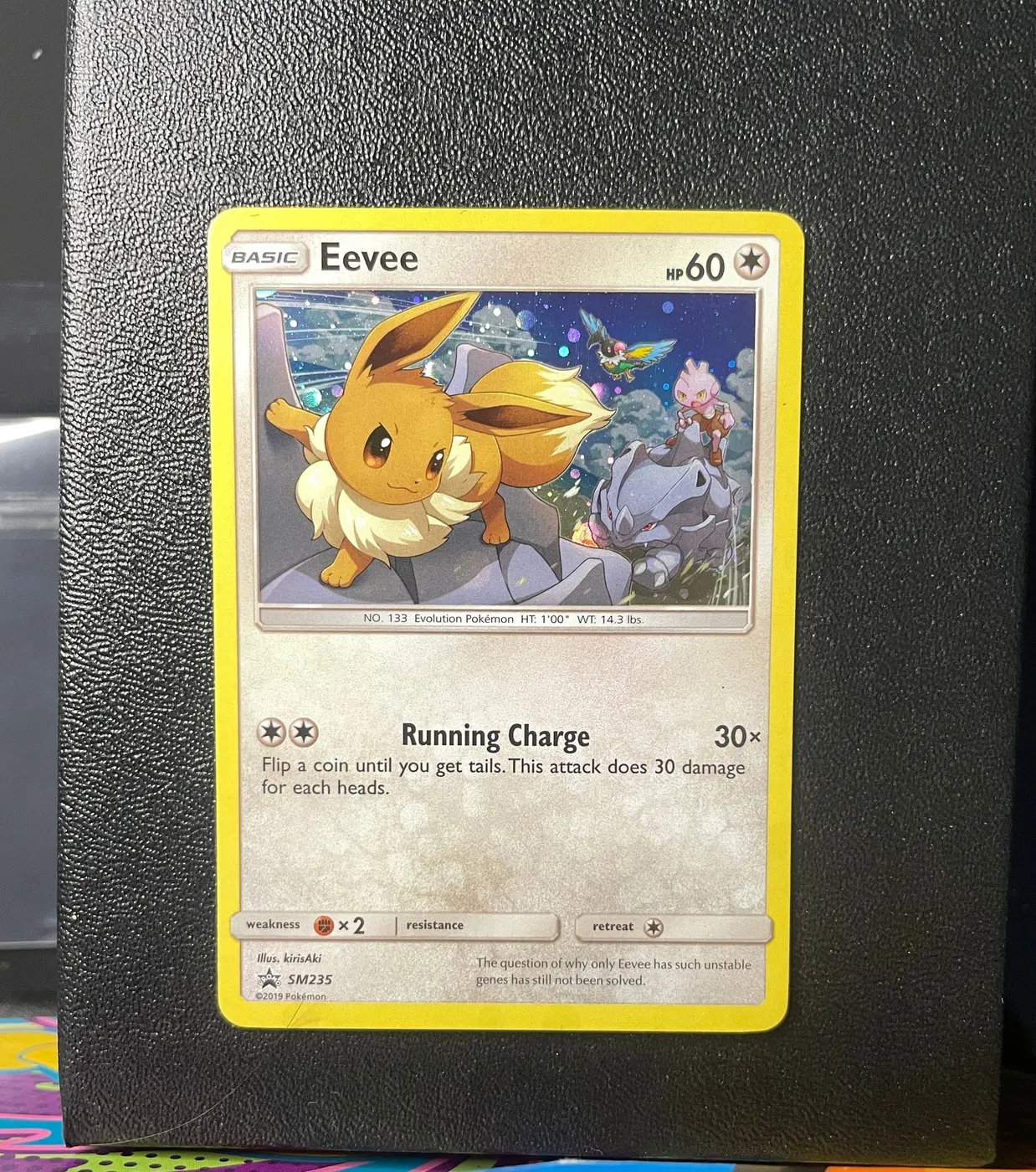 Eevee SM235 - Frente