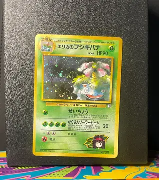 Erika's Venusaur No.003