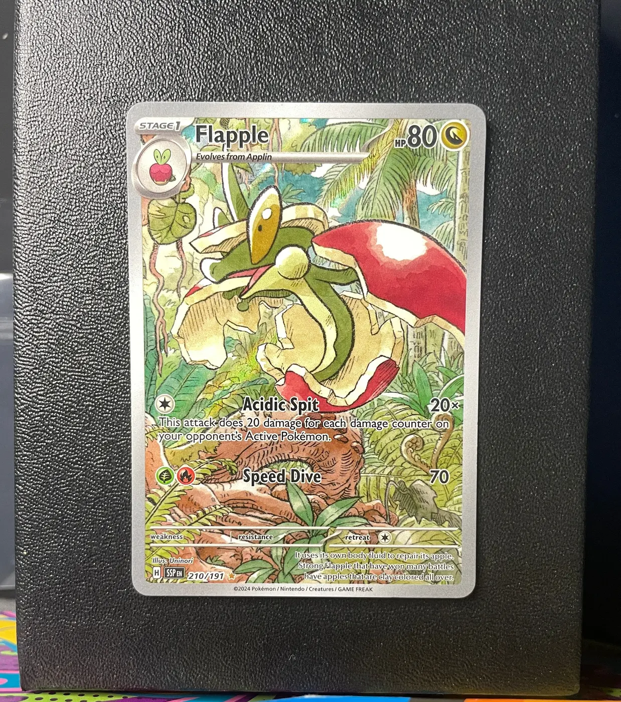 Flapple 210/191 - Frente