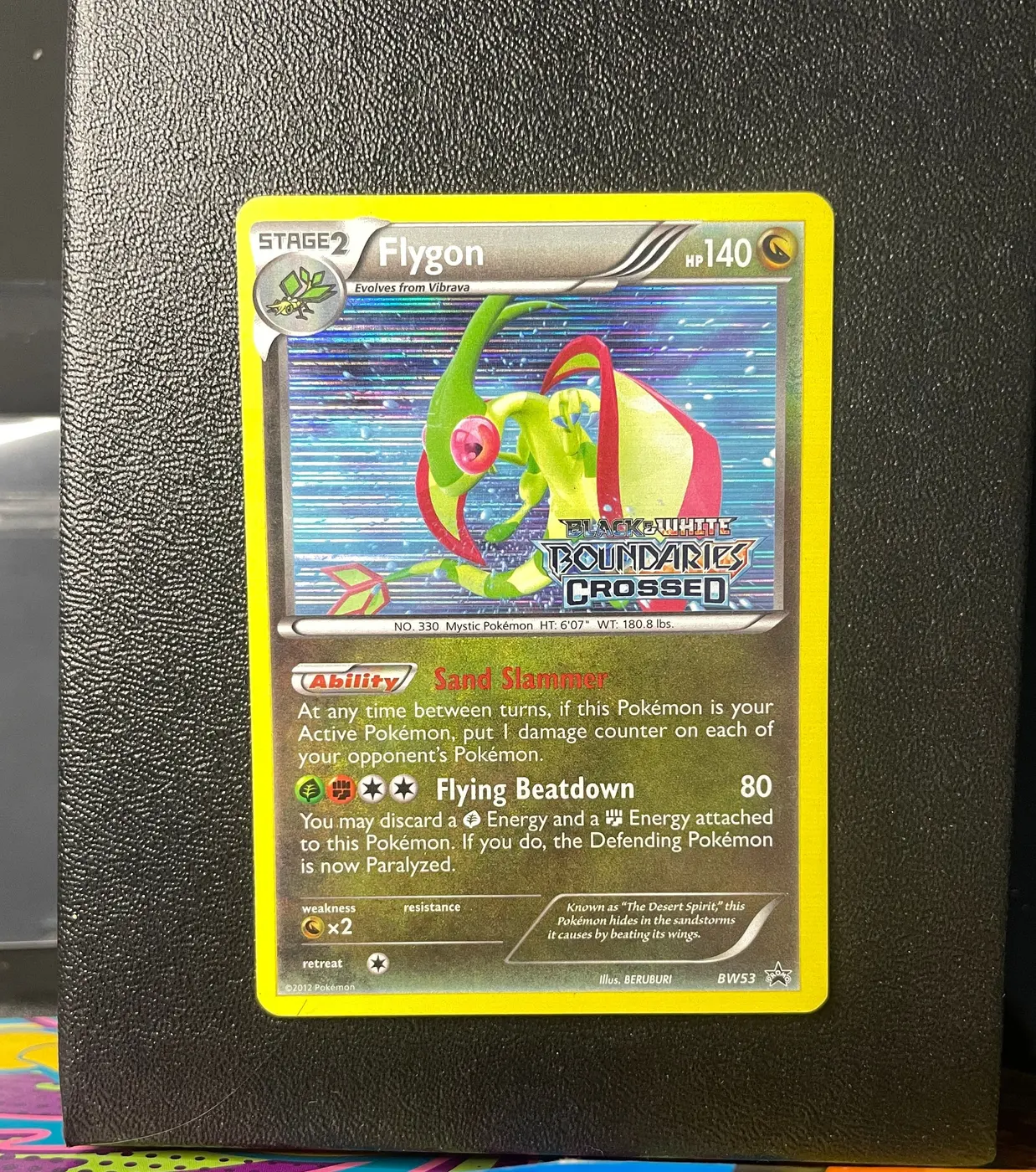 Flygon BW53 - Frente