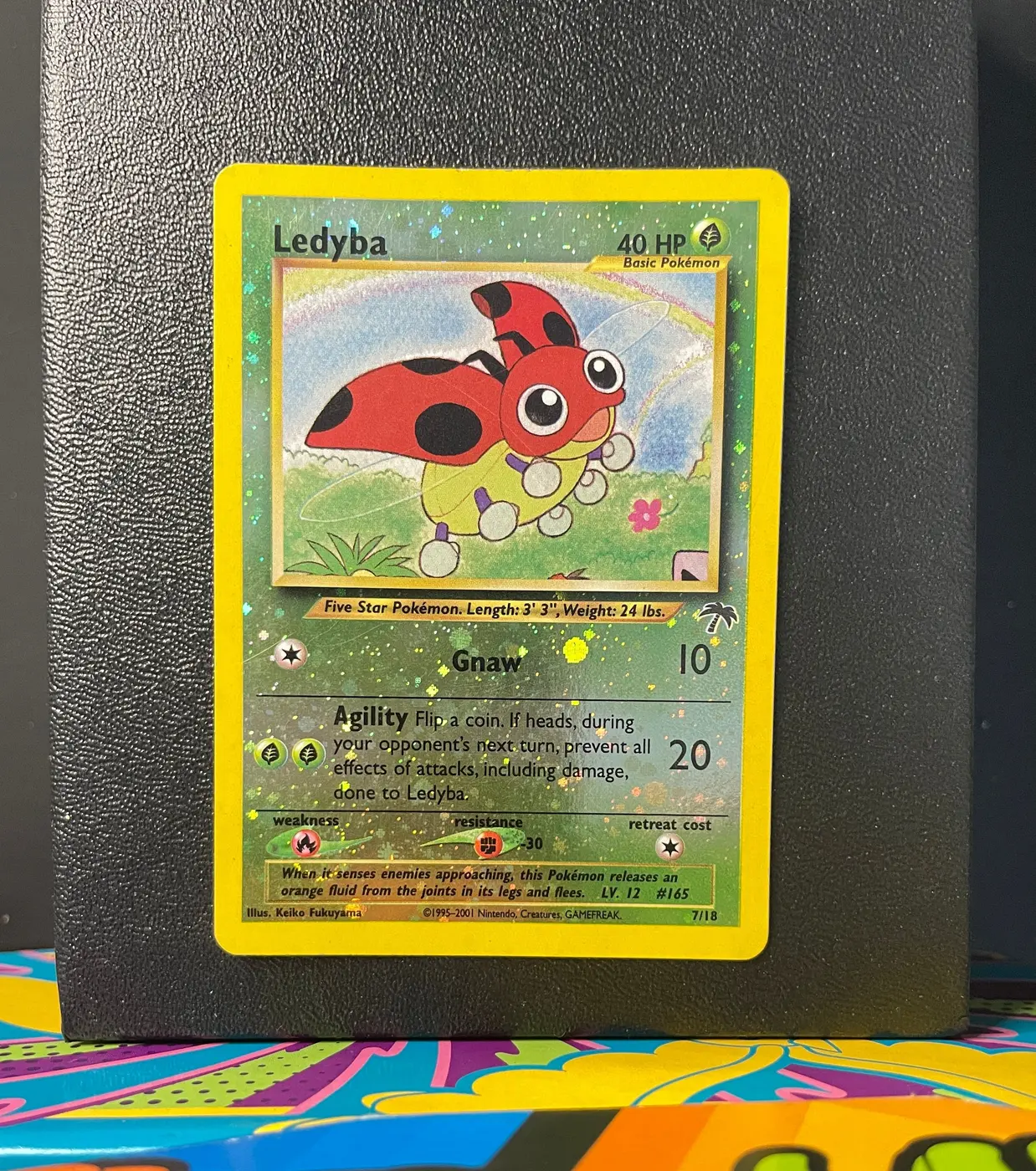 Ledyba 7/18 - Frente