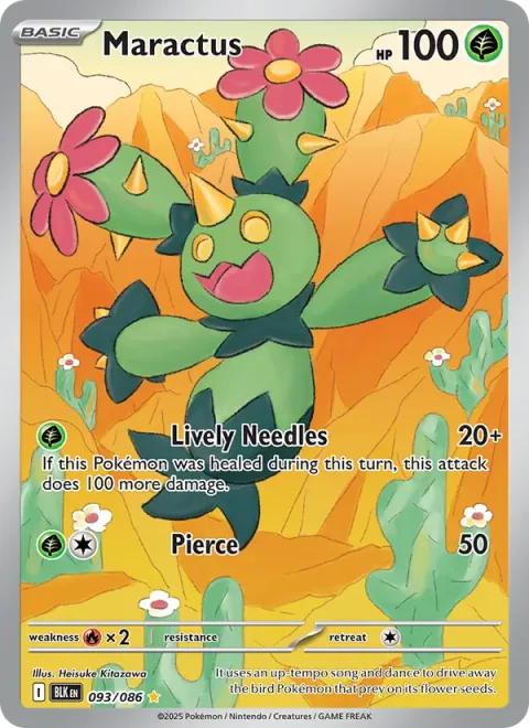 Maractus 093/086