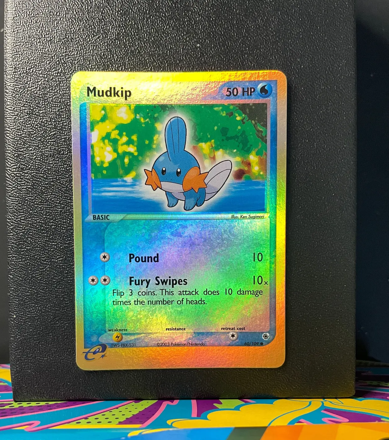 Mudkip 60/109 - Frente