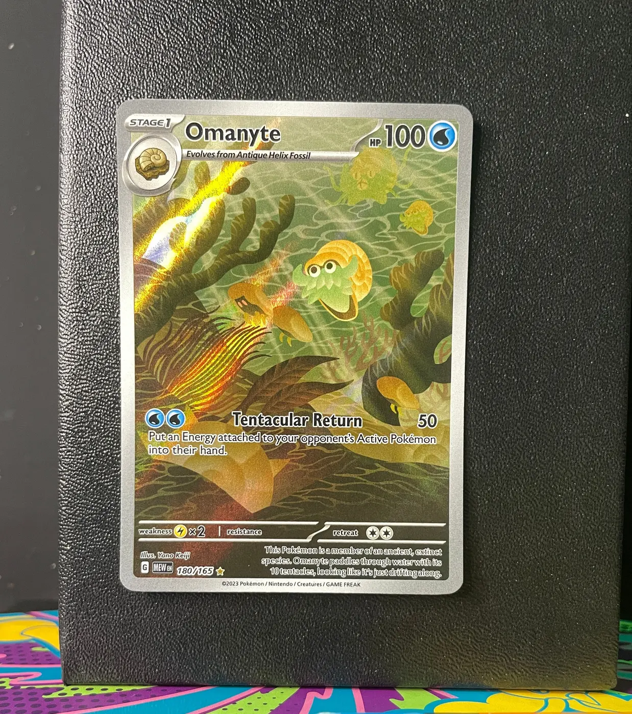 Omanyte 180/165 - Frente