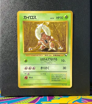 Pinsir No.127