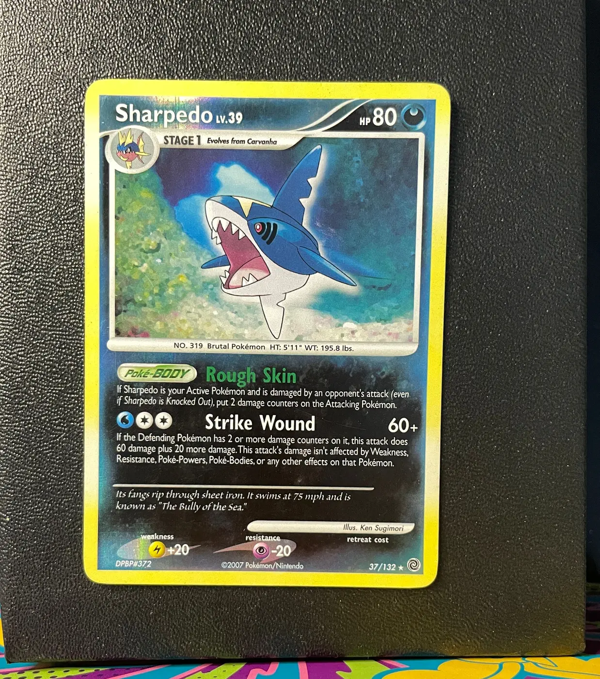 Sharpedo 37/132 - Frente