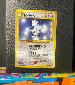 Togetic No.176