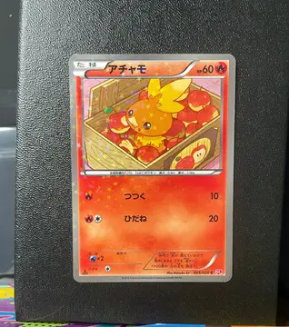 Torchic 005/020