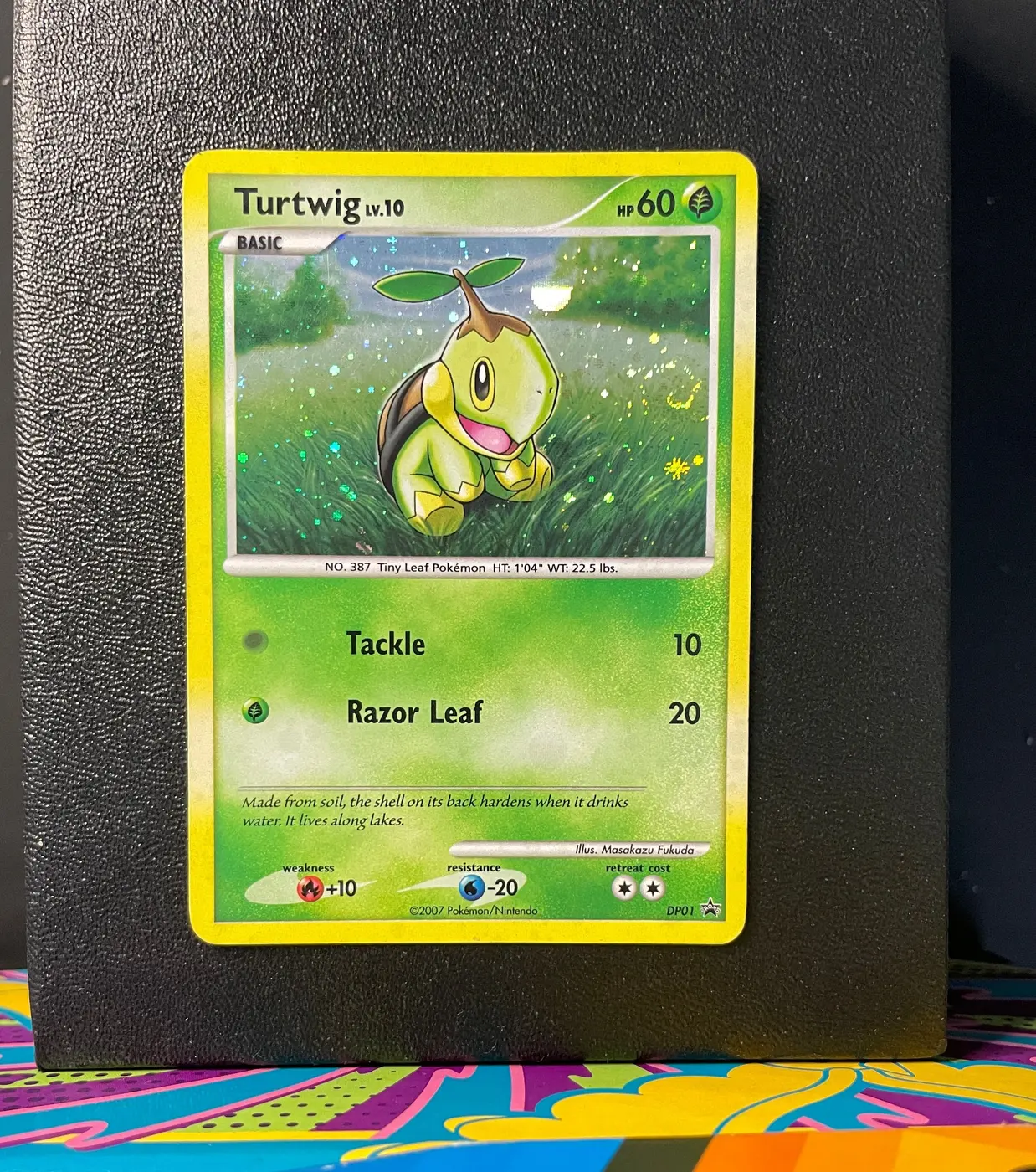 Turtwig DP01 - Frente