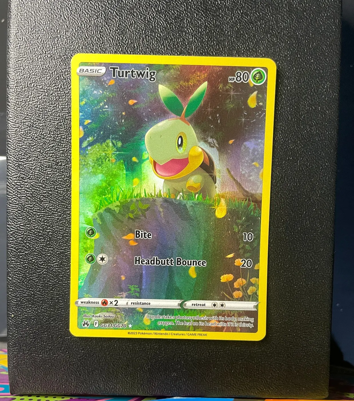 Turtwig GG31/GG70 - Frente