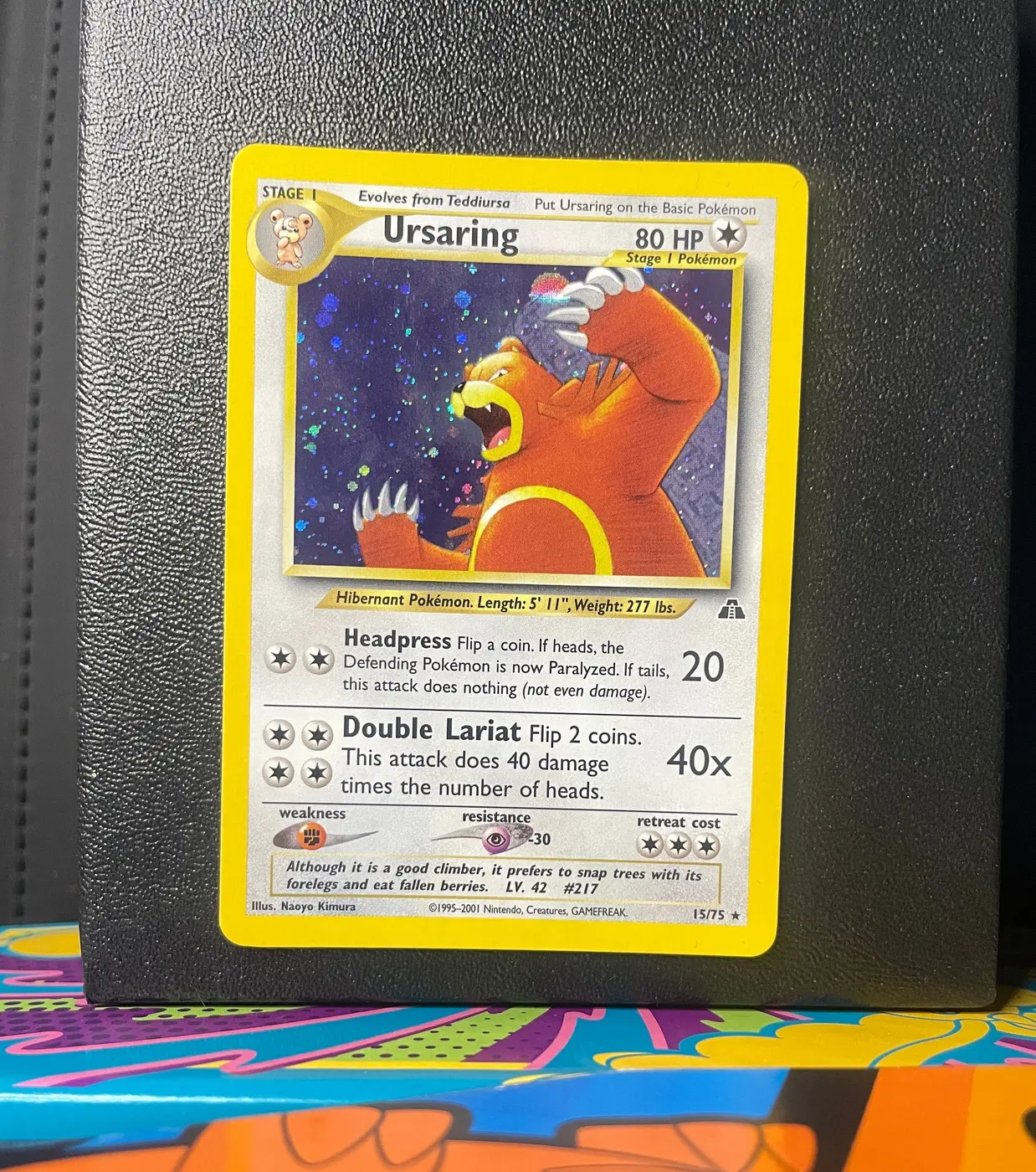 Ursaring 15/75 - Frente