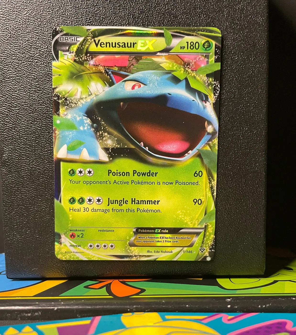 Venusaur EX 1/146 - Frente