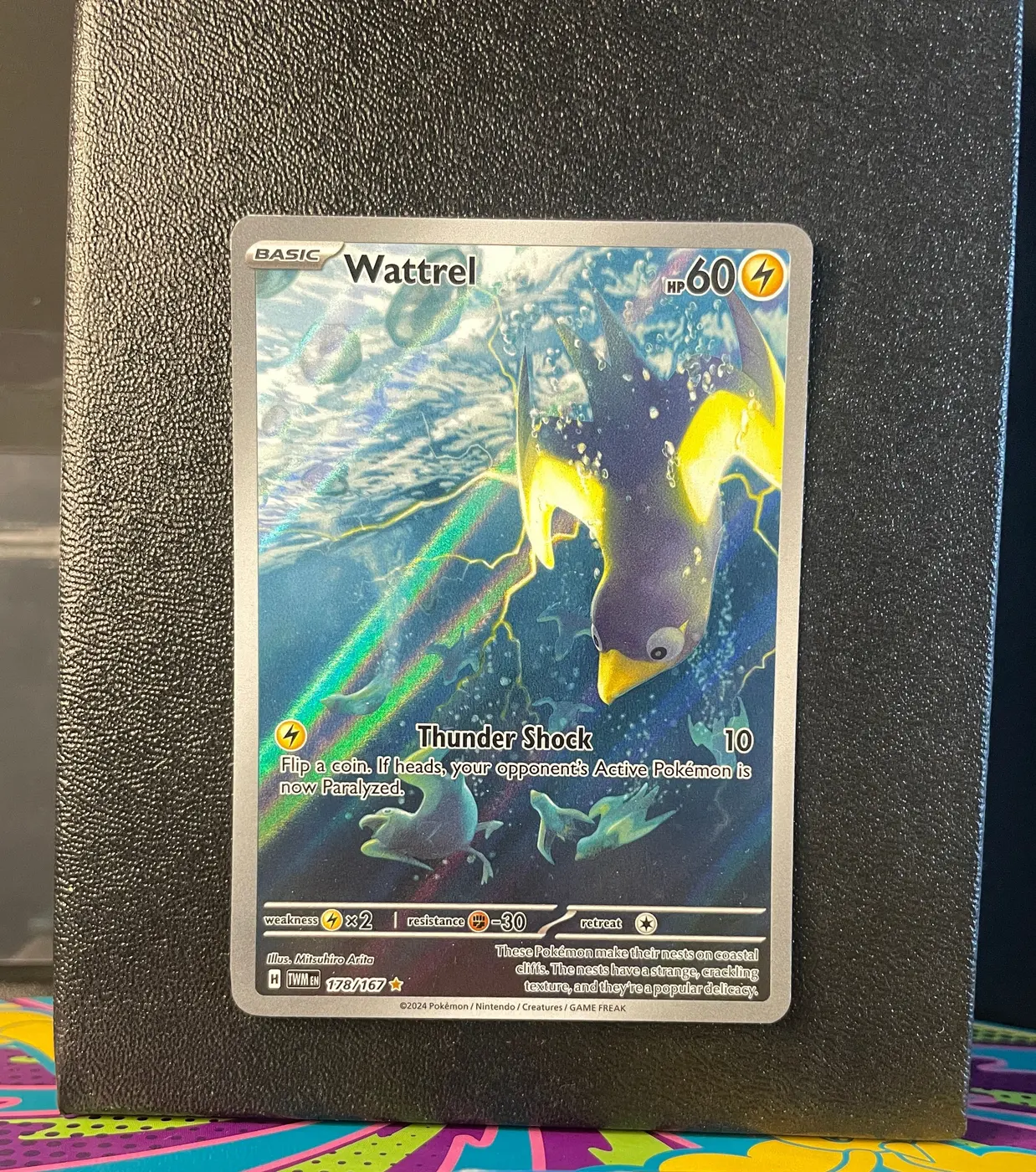 Wattrel 178/167 - Frente